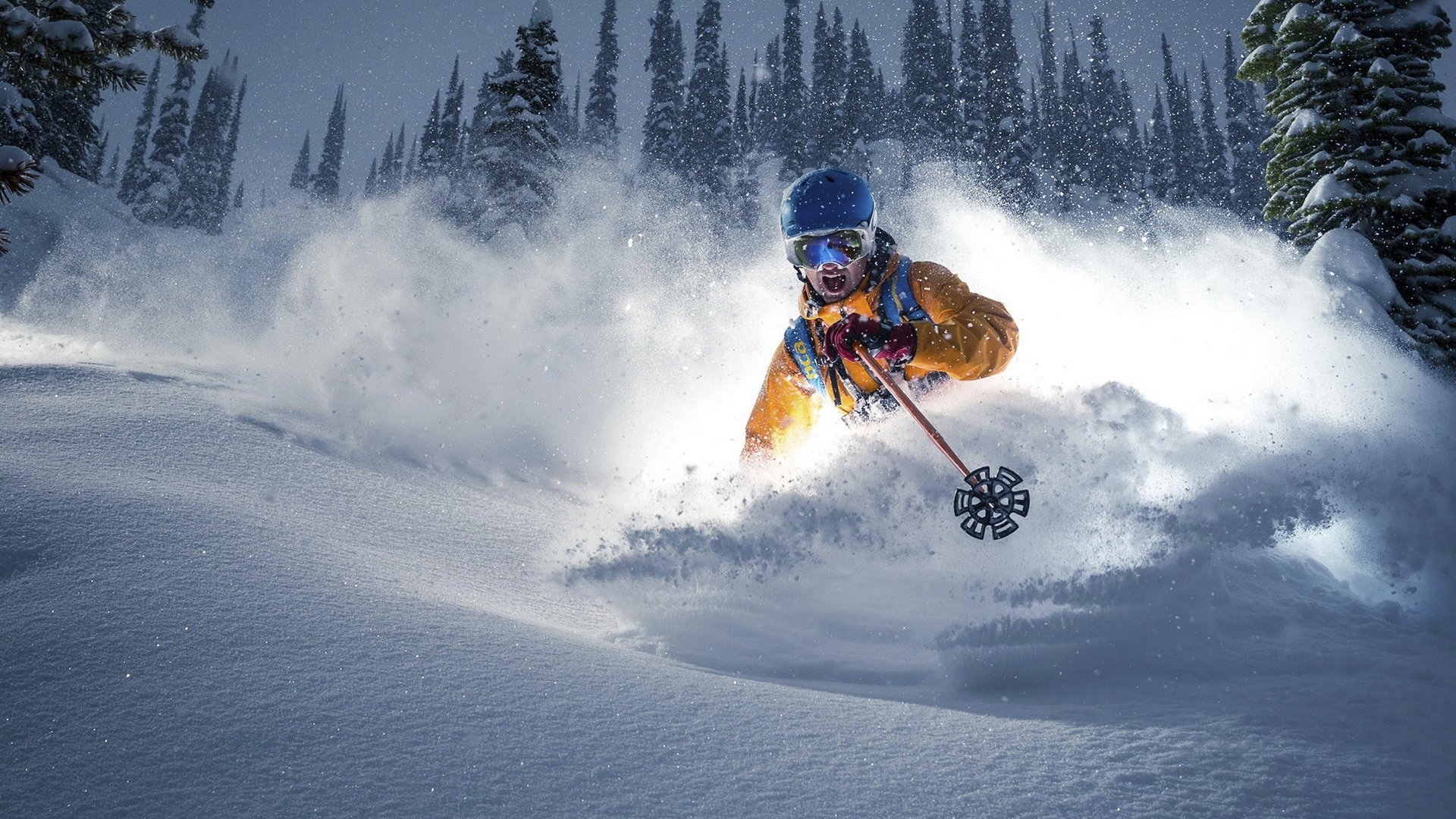 开云平台-奇迹之夜，保加利亚逆转葡萄牙，托纳利战术光芒照亮2026半决赛